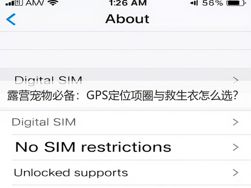 露营宠物必备：GPS定位项圈与救生衣怎么选？