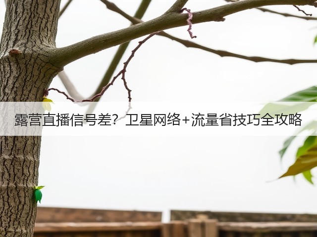露营直播信号差？卫星网络+流量省技巧全攻略(图3)