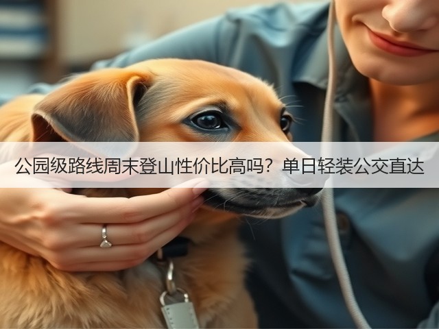 公园级路线周末登山性价比高吗？单日轻装公交直达(图1)