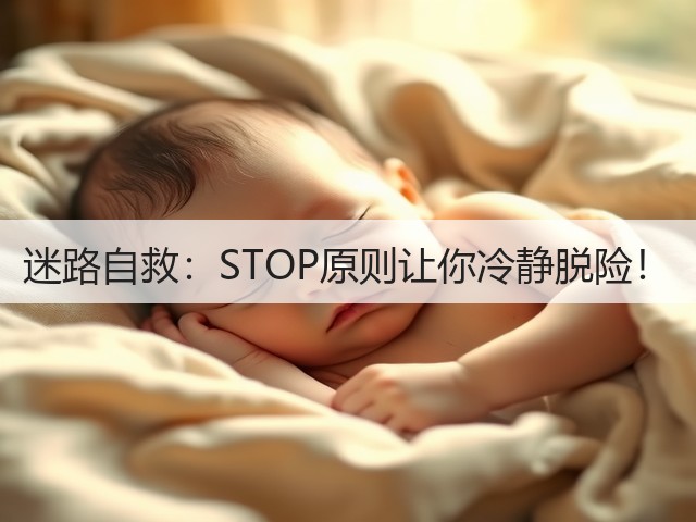 迷路自救：STOP原则让你冷静脱险！(图3)