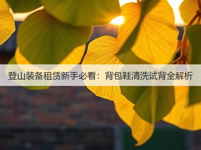 登山装备租赁新手必看：背包鞋清洗试背全解析(图2)