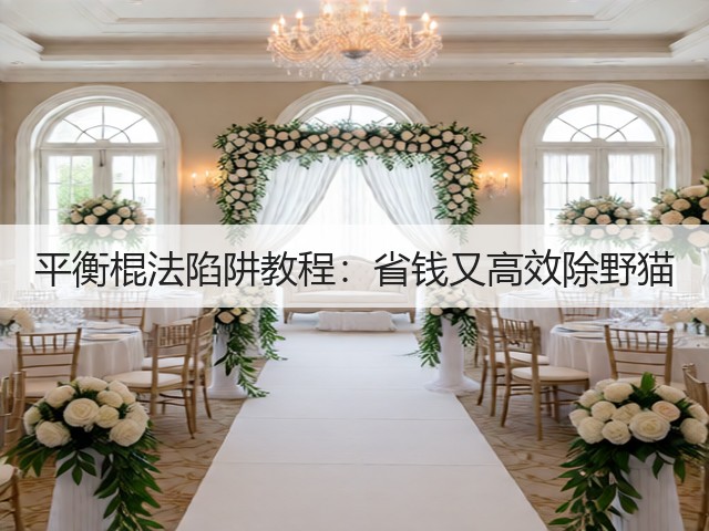 平衡棍法陷阱教程：省钱又高效除野猫(图2)