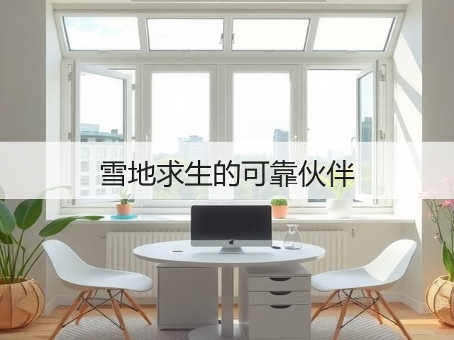 雪地求生的可靠伙伴(图3)