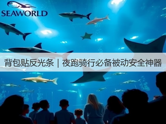 背包贴反光条｜夜跑骑行必备被动安全神器(图3)
