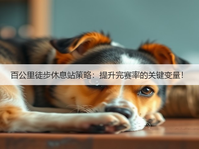 百公里徒步休息站策略：提升完赛率的关键变量！(图3)