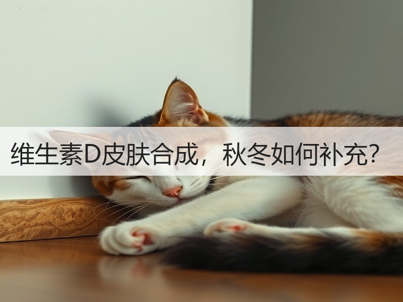 维生素D皮肤合成，秋冬如何补充？
