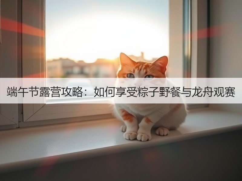 端午节露营攻略：如何享受粽子野餐与龙舟观赛