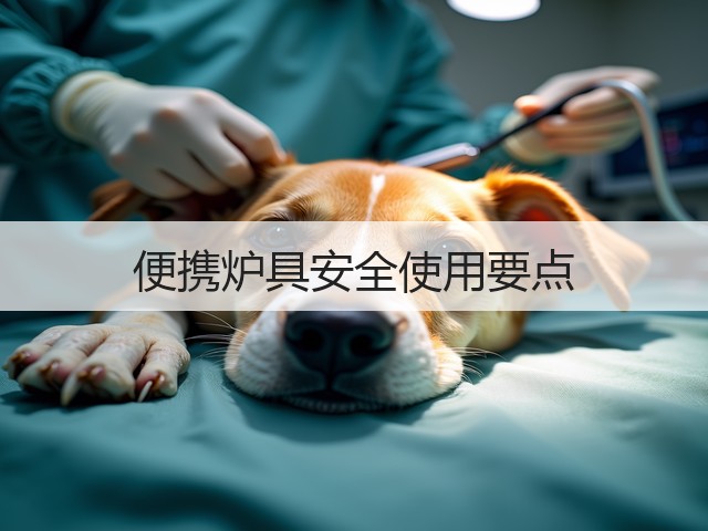 便携炉具安全使用要点(图2) 便携炉具安全使用要点(图2)