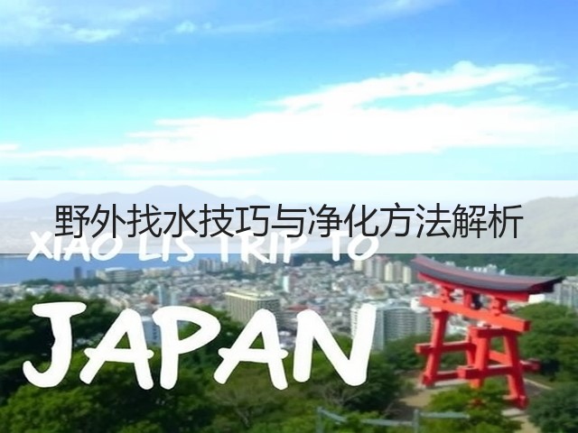 野外找水技巧与净化方法解析(图3)