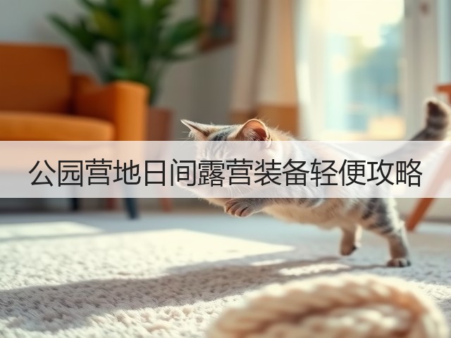 公园营地日间露营装备轻便攻略(图5)