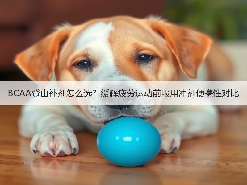 BCAA登山补剂怎么选？缓解疲劳运动前服用冲剂便携性对比