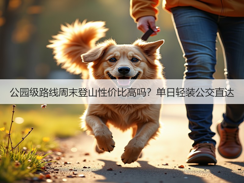 公园级路线周末登山性价比高吗？单日轻装公交直达