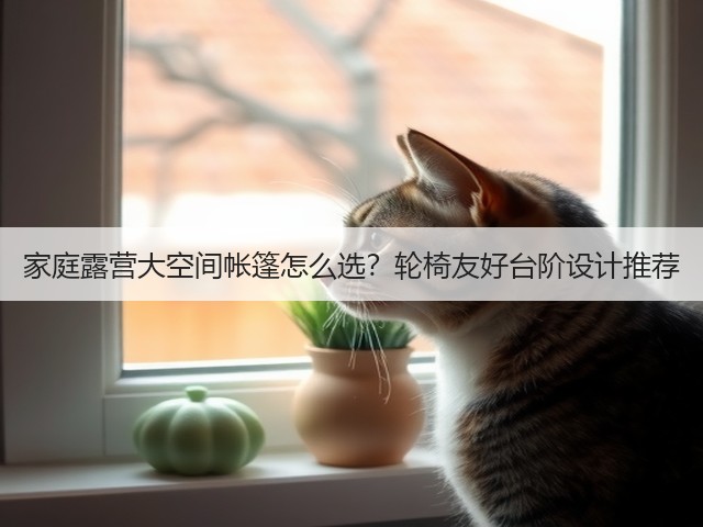 家庭露营大空间帐篷怎么选？轮椅友好台阶设计推荐(图5)