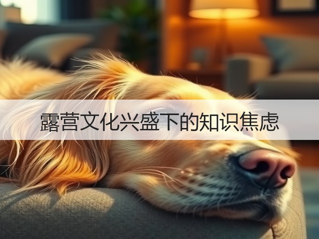 露营文化兴盛下的知识焦虑(图2)