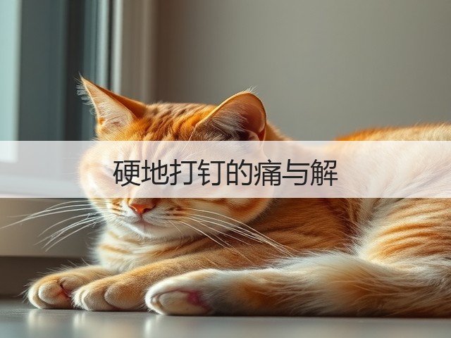 硬地打钉的痛与解(图1)