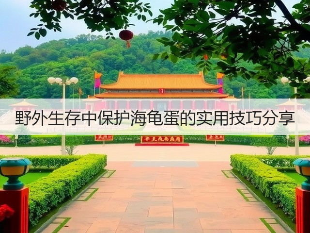 野外生存中保护海龟蛋的实用技巧分享(图2)