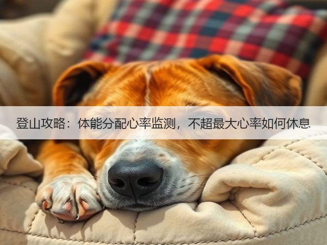 登山攻略：体能分配心率监测，不超最大心率如何休息(图1)