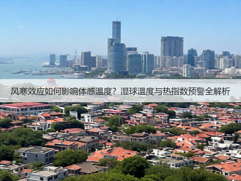风寒效应如何影响体感温度？湿球温度与热指数预警全解析