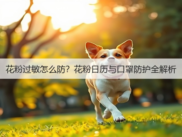 花粉过敏怎么防?花粉日历与口罩防护全解析(图2) 花粉过敏怎么防?花粉日历与口罩防护全解析(图2)