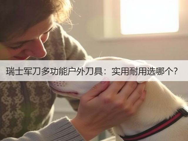 瑞士军刀多功能户外刀具：实用耐用选哪个？(图1)