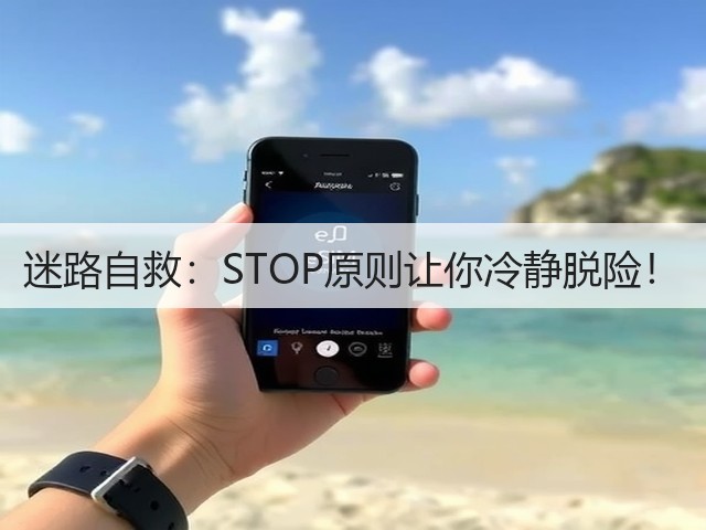 迷路自救：STOP原则让你冷静脱险！(图2)