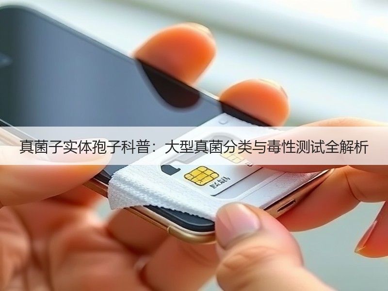 真菌子实体孢子科普：大型真菌分类与毒性测试全解析