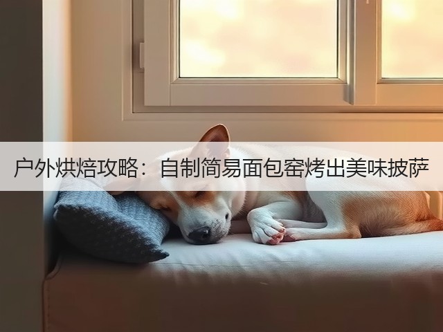 户外烘焙攻略：自制简易面包窑烤出美味披萨(图5)