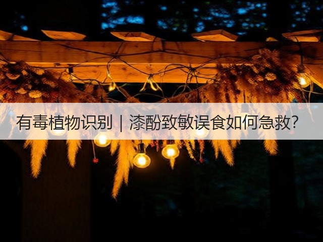 有毒植物识别｜漆酚致敏误食如何急救？(图3)