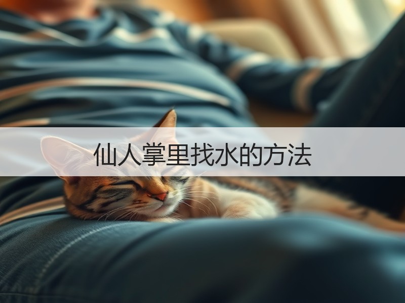 仙人掌里找水的方法