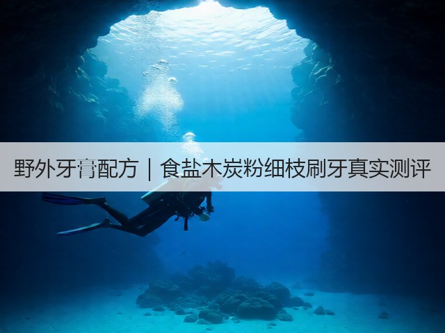 野外牙膏配方｜食盐木炭粉细枝刷牙真实测评(图3)