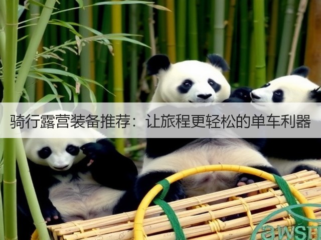 骑行露营装备推荐：让旅程更轻松的单车利器(图1)