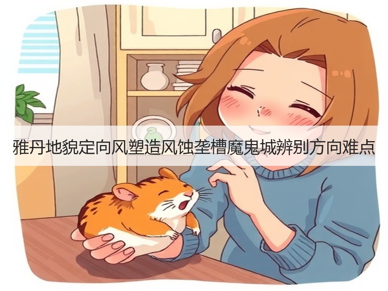 雅丹地貌定向风塑造风蚀垄槽魔鬼城辨别方向难点
