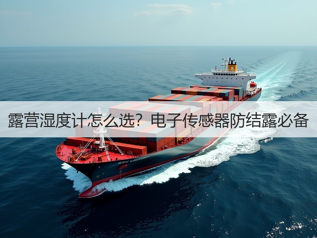 露营湿度计怎么选？电子传感器防结露必备(图6)