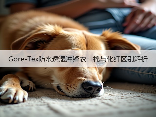 Gore-Tex防水透湿冲锋衣：棉与化纤区别解析(图2)