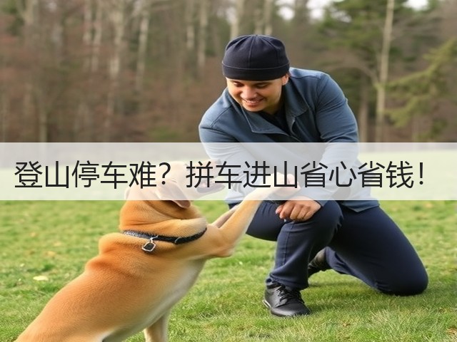 登山停车难？拼车进山省心省钱！(图1)