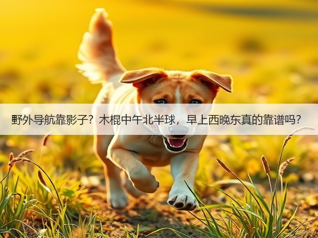 野外导航靠影子？木棍中午北半球，早上西晚东真的靠谱吗？(图1)