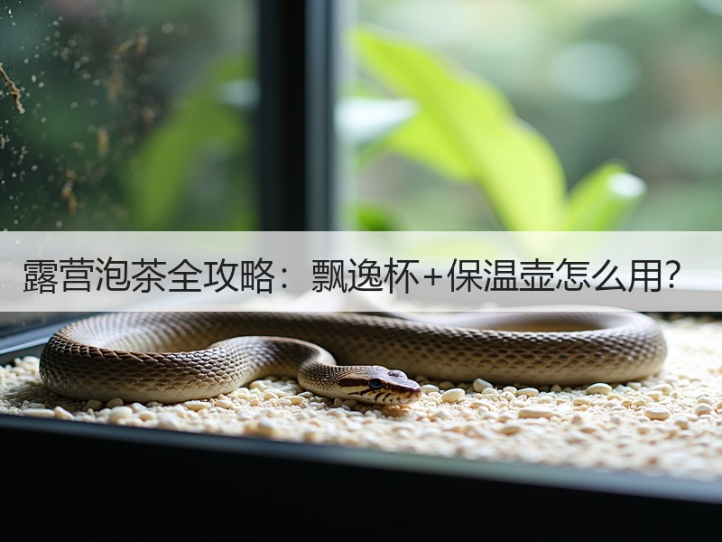 露营泡茶全攻略：飘逸杯+保温壶怎么用？