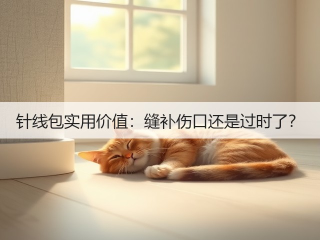 针线包实用价值:缝补伤口还是过时了?(图2) 针线包实用价值:缝补伤口还是过时了?(图2)