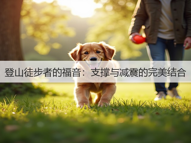 登山徒步者的福音：支撑与减震的完美结合(图1)