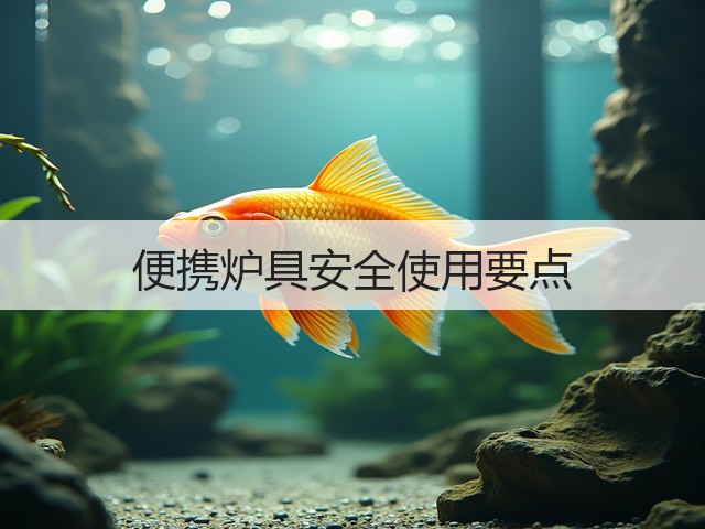 便携炉具安全使用要点(图1) 便携炉具安全使用要点(图1)