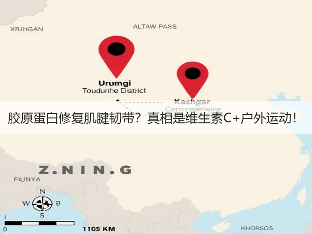 胶原蛋白修复肌腱韧带?真相是维生素C+户外运动!(图2) 胶原蛋白修复肌腱韧带?真相是维生素C+户外运动!(图2)