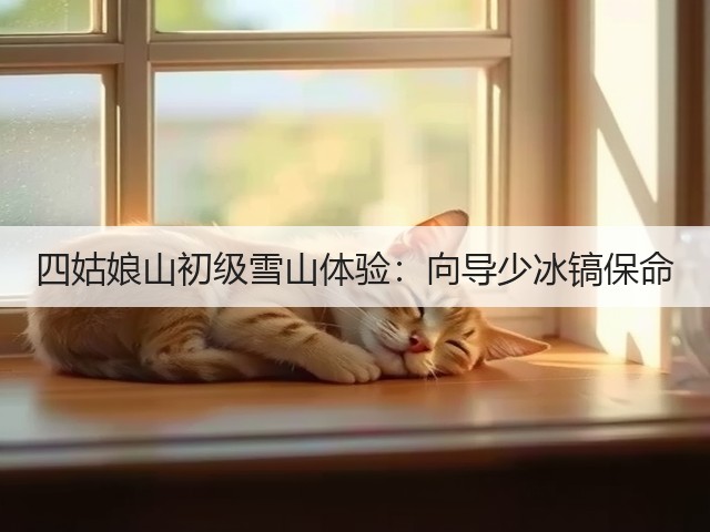 四姑娘山初级雪山体验：向导少冰镐保命(图2)