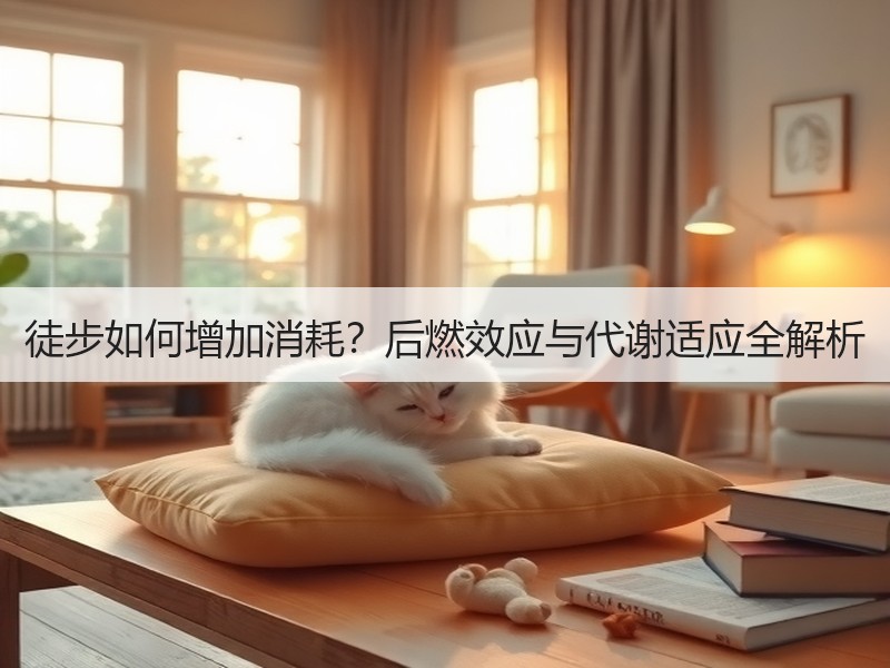 徒步如何增加消耗？后燃效应与代谢适应全解析