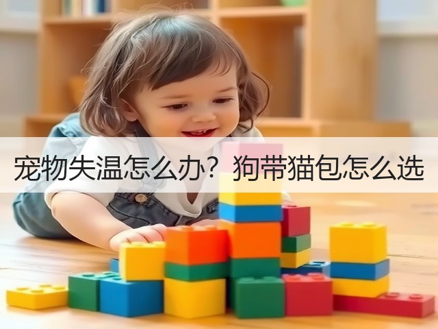 宠物失温怎么办？狗带猫包怎么选(图2)