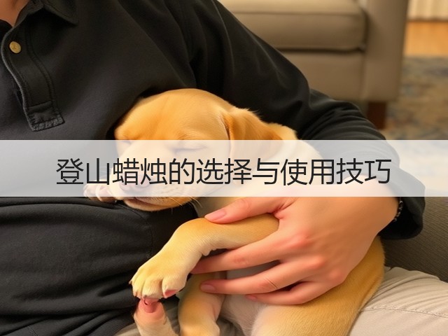 登山蜡烛的选择与使用技巧(图3)