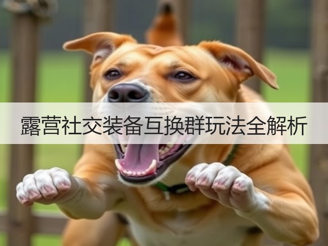 露营社交装备互换群玩法全解析(图5)