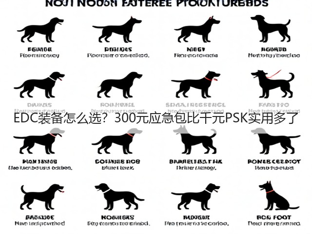 EDC装备怎么选?300元应急包比千元PSK实用多了(图3) EDC装备怎么选?300元应急包比千元PSK实用多了(图3)