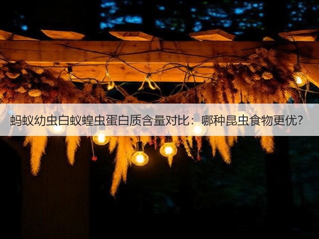 蚂蚁幼虫白蚁蝗虫蛋白质含量对比：哪种昆虫食物更优？(图3)