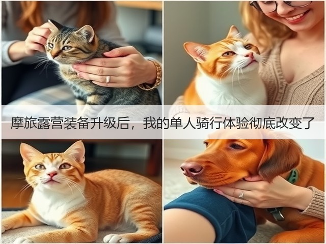 摩旅露营装备升级后，我的单人骑行体验彻底改变了(图3)