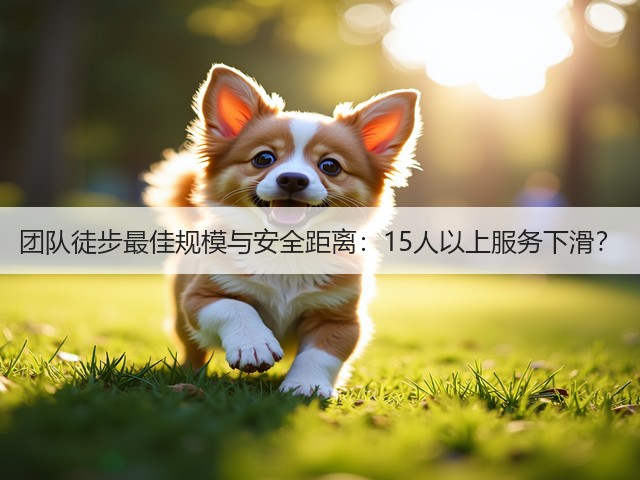 团队徒步最佳规模与安全距离：15人以上服务下滑？(图3)